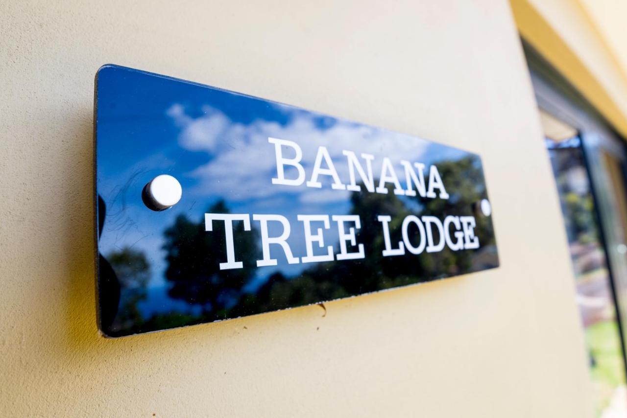 Banana Tree Lodge Jamestown Bagian luar foto